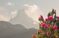 "De Diepte" (over mij geschreven door D. v/d M.)